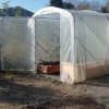 Serre de jardin Dolmen 230 pour la culture de tomates.